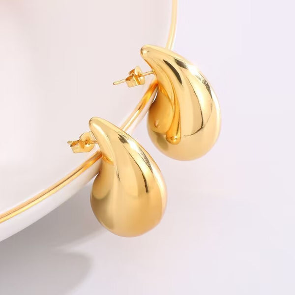 STAINLESS STEEL WATERPROOF TARNISH FREE EARRINGS | 40E312