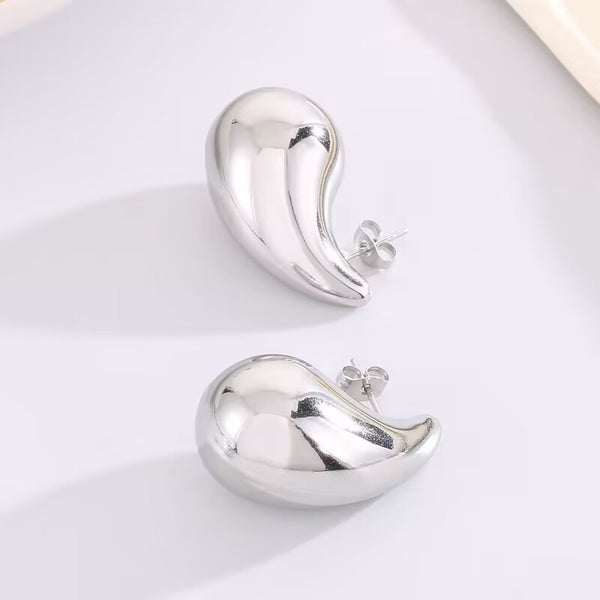 STAINLESS STEEL WATERPROOF TARNISH FREE EARRINGS | 40E312