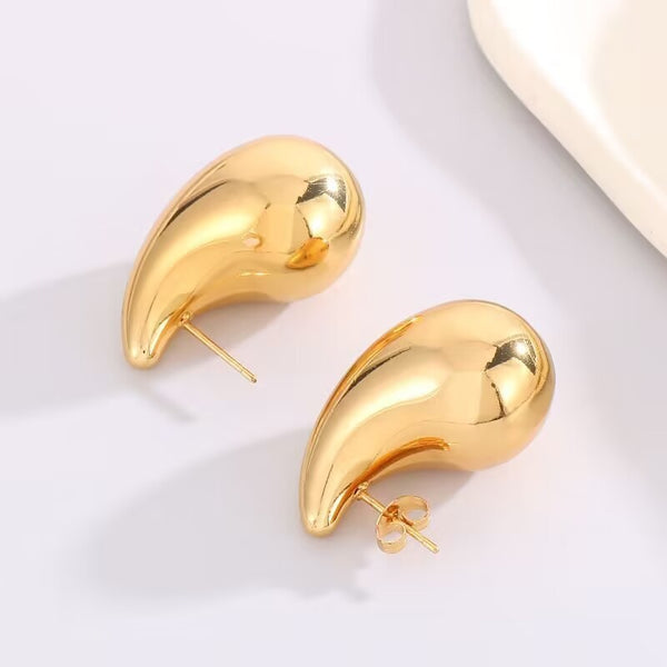 STAINLESS STEEL WATERPROOF TARNISH FREE EARRINGS | 40E312