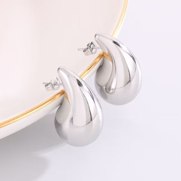 STAINLESS STEEL WATERPROOF TARNISH FREE EARRINGS | 40E312