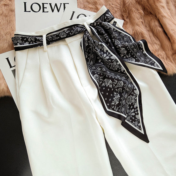 Elegant Printed Skinny Scarf Twilly & Belt Tie | 40SC742