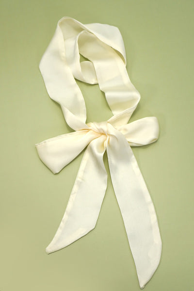 LONG SOFT SILKY SKINNY TWILLY SCARF NECKLACE WRAP | 40SC687