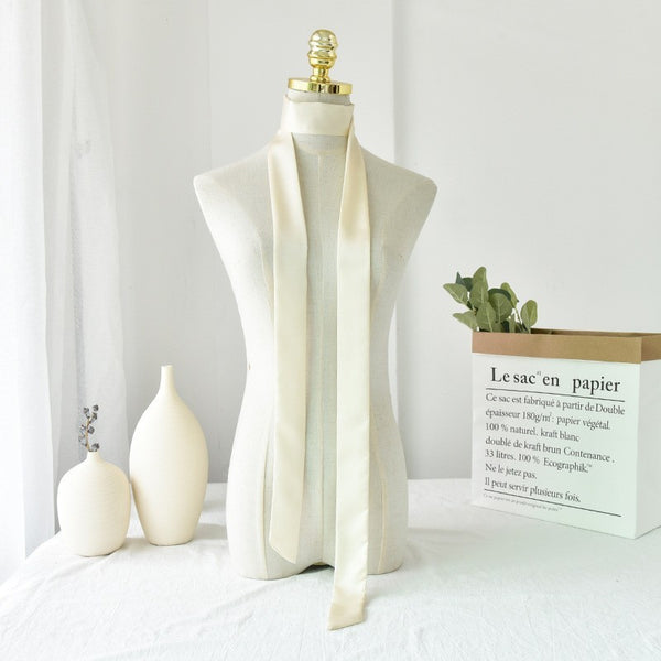 LONG SOFT SILKY SKINNY TWILLY SCARF NECKLACE WRAP | 40SC687