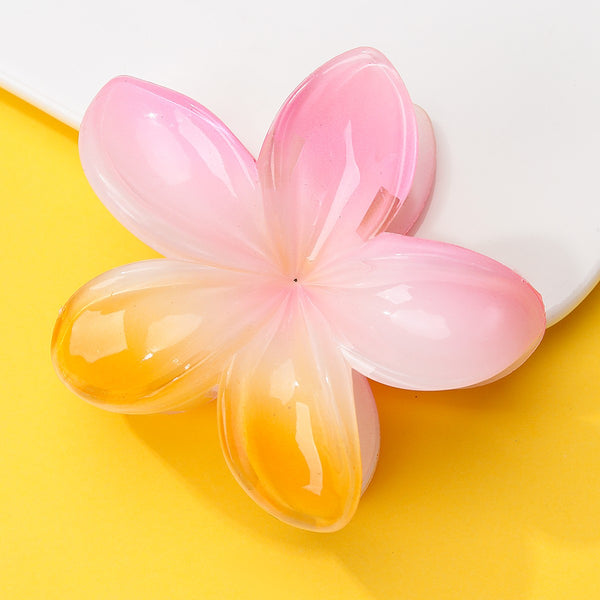 Gradient Floral Resin Hair Claw Clips | 40H1064