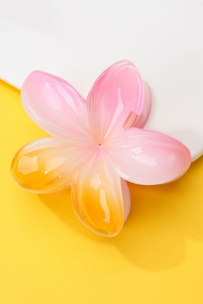 Gradient Floral Resin Hair Claw Clips | 40H1064